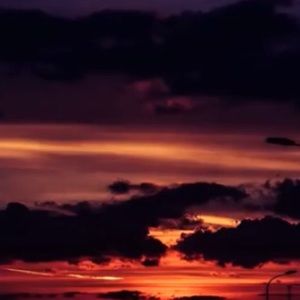 Meet your Posher, Addison